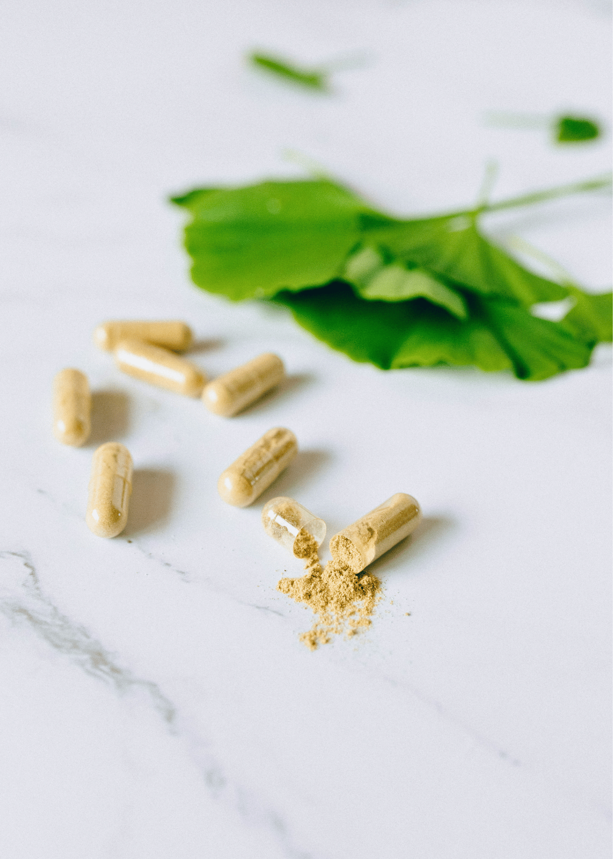 Best Moringa Powder Capsule Supplements