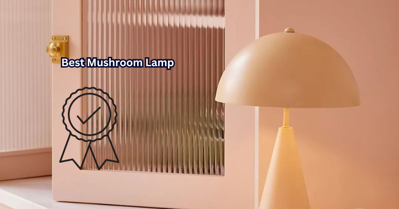 Shroom Up Your Space with These Best Mushroom Lamp